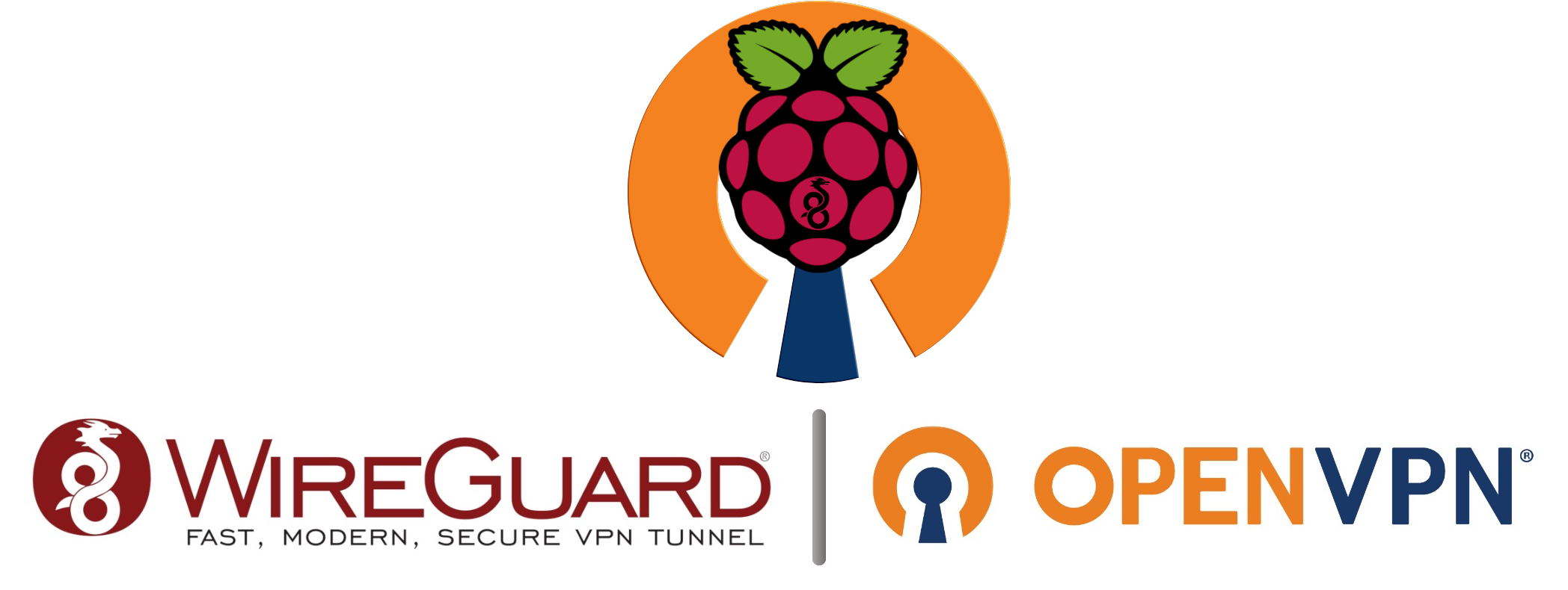 WireGuard + OpenVPN logo